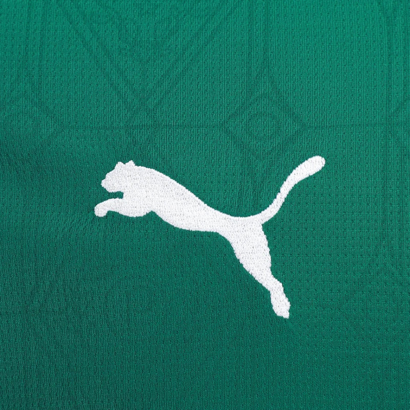 Camisa Masculina Palmeiras I 2025/26